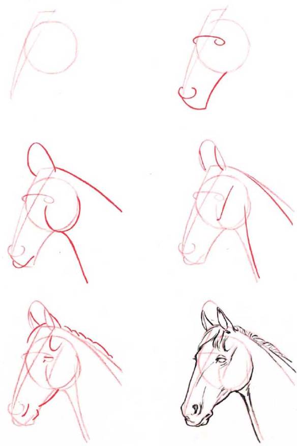 How-To-Draw-Horses  Coisas para desenhar, Cavalo desenho, Cavalos