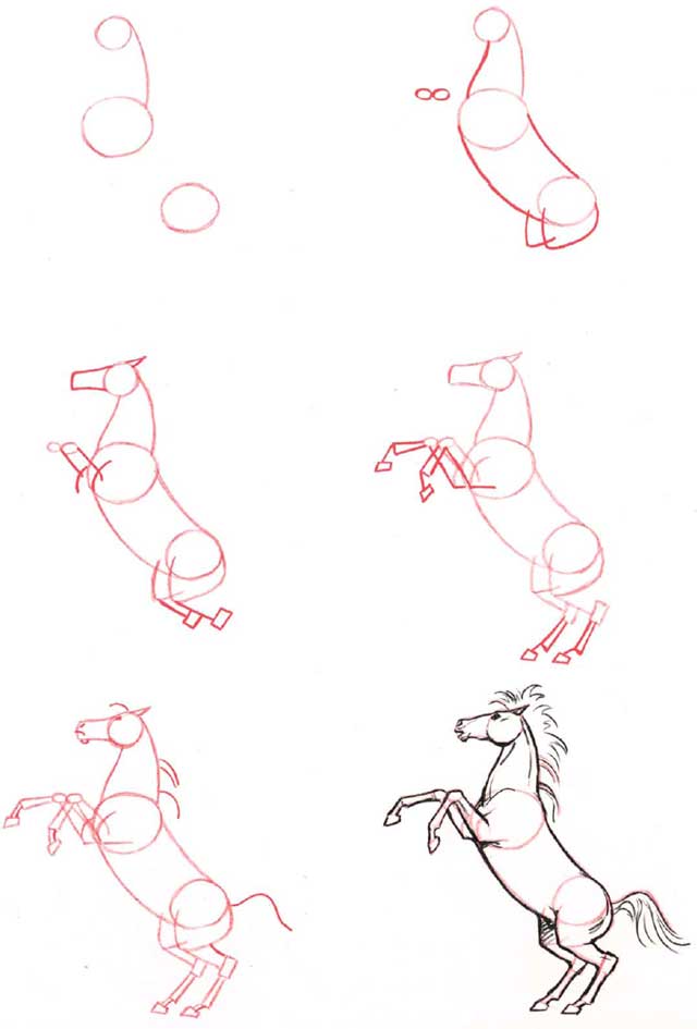 Como Desenhar Cavalos Instrução Passo a Passo Fácil