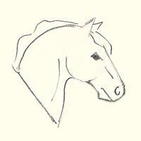 Como desenhar uma cabeça de cavalo – Hipismo&Co